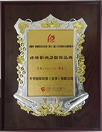 2015年度終端影響力國(guó)際品牌